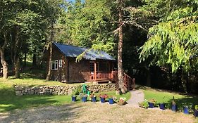 Willow Lodge